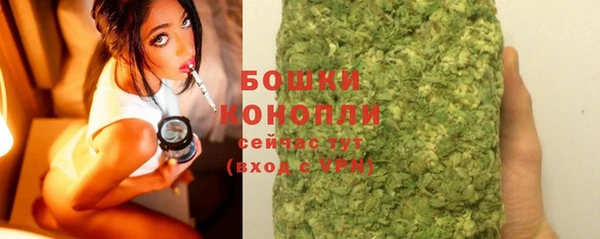 гашик Инта