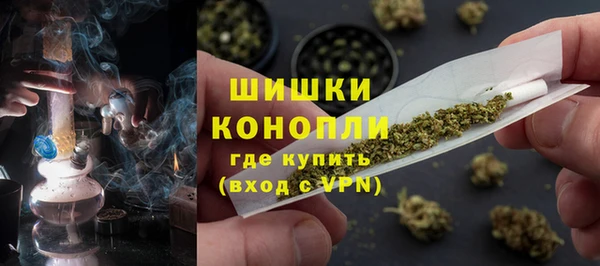 гашик Инта
