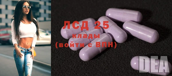 гашик Инта