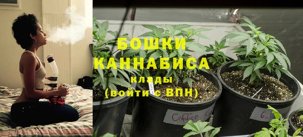 гашик Инта