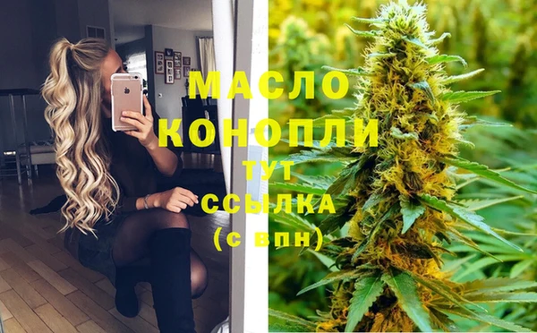 гашик Инта