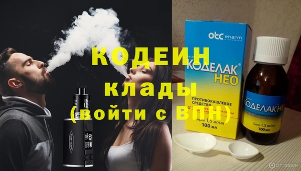 шишки Иннополис