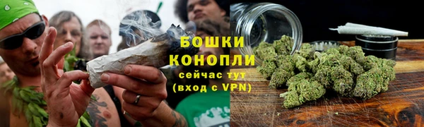 трава Зеленокумск
