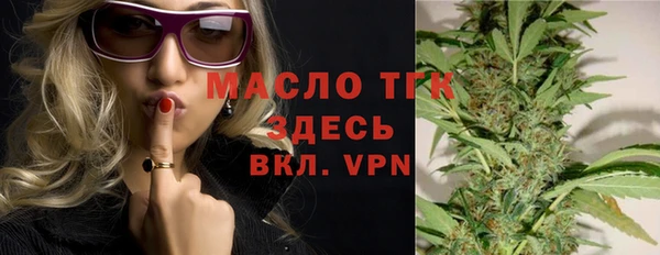 гашик Инта